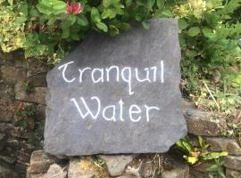 Tranquil Water, bed and breakfast en Midleton