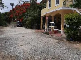 DINO1