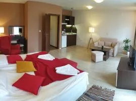 Banderitsa Apartments with kitchen