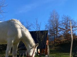 Eco kutak, hotell sihtkohas Mojkovac