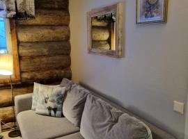 Polaris Homes Huippu, hotelli Syötteellä