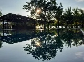 Hibiscus Garden