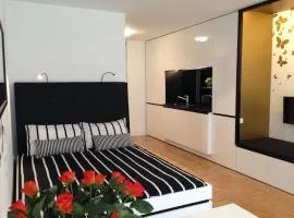 Gorgeous central flat with garage