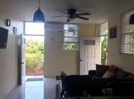 Palmvillo