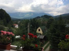 Casa Ardeleană Cheia, Hotel in Cheia