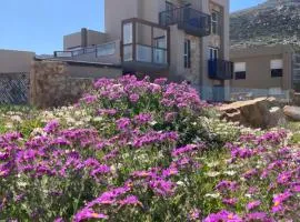 the Lighthouse Beachroom