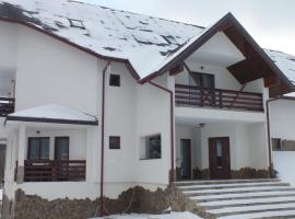 Pensiunea Eliza, bed and breakfast en Podu Coşnii