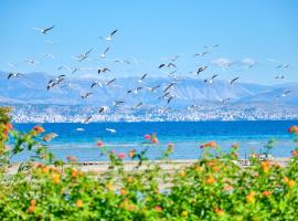 Nikos Kalamaki Corfu, leilighetshotell i Apraos