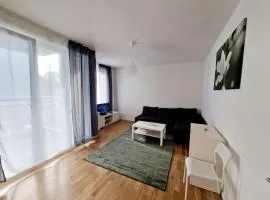 Apartment in the center of Berlin 2132