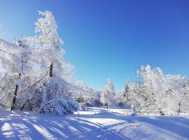 Erzgebirgshaus Zirbenliebe, hotel en Kurort Altenberg