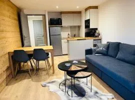 Appart au centre de la station, entièrement rénové, , parking privé et wifi gratuit