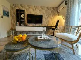 Negotin Centar Apartment with Parking