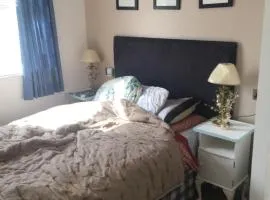 Insignia Dartmouth Food Festival Starts Today Thursday to Monday