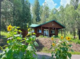 Salt Creek Cabin In The Gila, holiday home in Mimbres