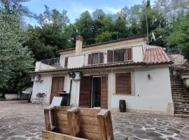 Il Mastro del Lago