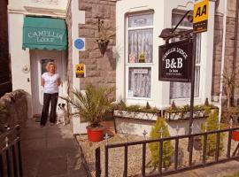 Camellia Lodge Guest House, B&B di Weston-super-Mare