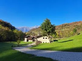 Quader nidi nel verde