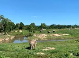 I love phants Lodge、Ban Huai Thawaiのリゾート