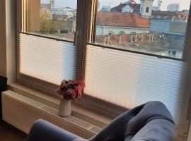 Centar view lux, пляжный отель в Нови-Саде