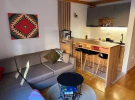 Apartment U245 in aparthotel Vucko - private host