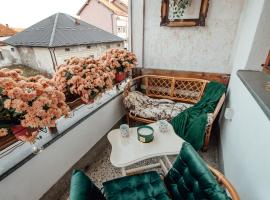 Apartman Petunija, cheap hotel in Sjenica