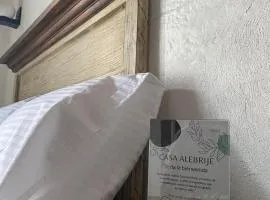 Cuarto Casa Alebrije