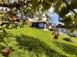 Coliba la Valle, cottage in Petroşani