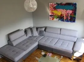 Comfortable apartment near the City Center