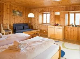 Haus Schmitten - Davos