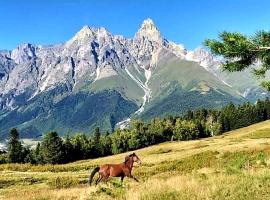 Guest house-Lile, hotel v destinaci Mestia