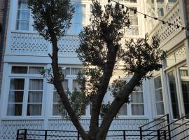 Old Gold Anteon: Tiflis'te bir kiralık tatil yeri