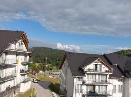 Apartament Czarna Góra STUBAI 29, hotel v destinaci Sienna