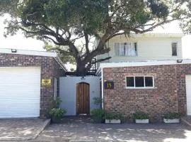 Bushmansriver Tree-House