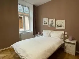 Schei Central Studios in the heart of Brasov