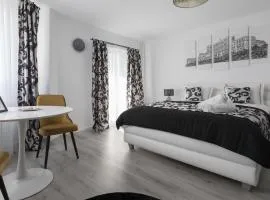 Lion's Unirii Apartment