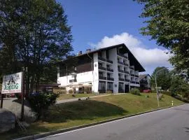 Winterwohnung Almberg