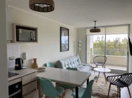 Arriendo Departamento Nuevo, Algarrobo Norte