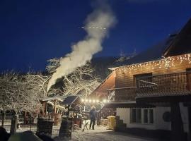 Privāta brīvdienu naktsmītne Pensiunea Casa Butnarului pilsētā Geoagiu de Sus
