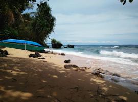 Tori's Backpacker's Paradise, albergue en Siquijor