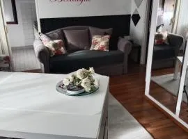 Apartman 51