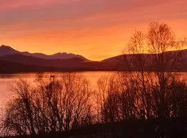 Strand Apartments