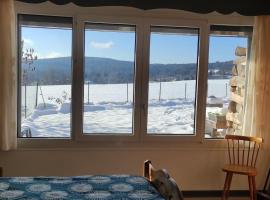 Studio avec belle vue proche du lac Genin Echallon, hotell i Echallon