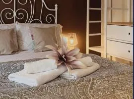 Dream Central Toscal