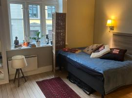 Keybutler Royal Park Studios, apartment in Oslo