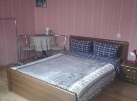 Gostevoy Apartment, hotel in Vinnytsya