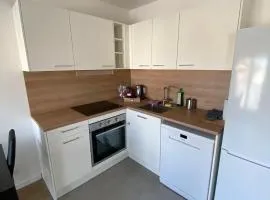 Luxury appartement 5 Asnières Paris