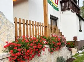 Vicky's House