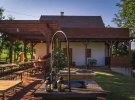 Kispince Wellness Borbirtok