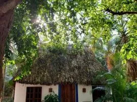 Cabañas Pájaro Azul