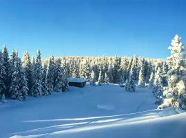 Cozy Home In Lillehammer With Sauna, počitniška hiška v mestu Lillehammer